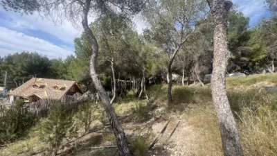 Terreno en venta en Urbanización Finca Terol - Vista 5