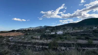 Rustic Finca in Castalla photo 20