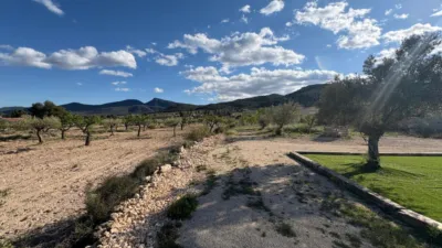 Rustic Finca in Castalla photo 24