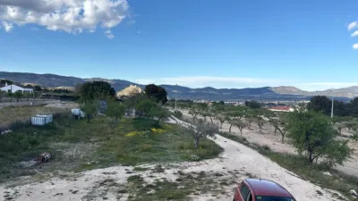 Rustic Finca in Castalla photo 26
