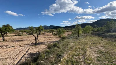 Rustic Finca in Castalla photo 21