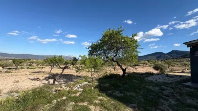 Rustic Finca in Castalla photo 25