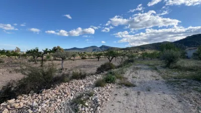 Rustic Finca in Castalla photo 23