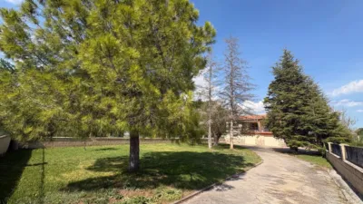 Rustic Finca in Onil photo 2