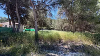 Terreno en venta en Urbanización Terol F, cerca de Urbanización Terol E - Vista 3