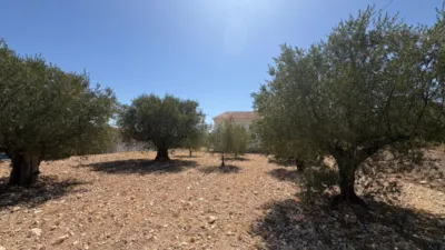 Chalet in Castalla photo 35
