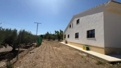 Chalet in Castalla photo 26
