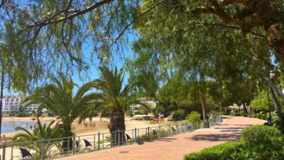 Apartamento en venta en Avenida de las Fuentes, 16, Alcossebre (Alcalà de Xivert-Alcossebre) de 118.000 €