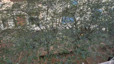 Piso en alquiler en Calle del Actor Rivelles, 5 - Imagen 23