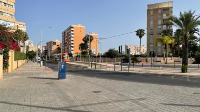Piso en Avenida de la Costa Blanca, 168 photo 46