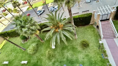Piso en Avenida de la Costa Blanca, 168 photo 36