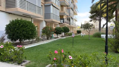 Piso en Avenida de la Costa Blanca, 168 photo 39