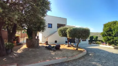 House on Calle del Pi photo 11
