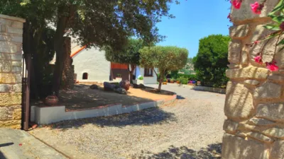 House on Calle del Pi photo 10