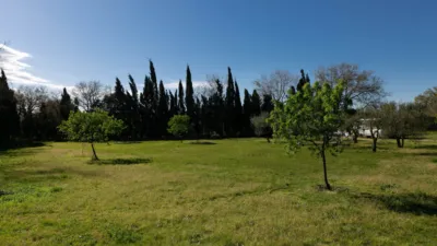 House on Carretera C-31 photo 46