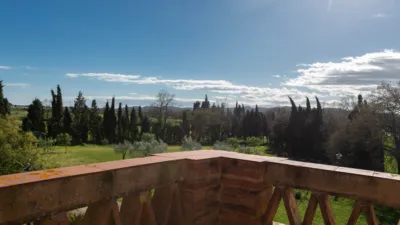 House on Carretera C-31 photo 28