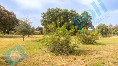 Chalet rústico en venta en Calle Diseminados El Corchito, Poblados Norte (Badajoz Capital) de 186.000 €