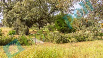 Chalet rústico en venta en Calle Diseminados El Corchito, Poblados Norte (Badajoz Capital) de 186.000 €
