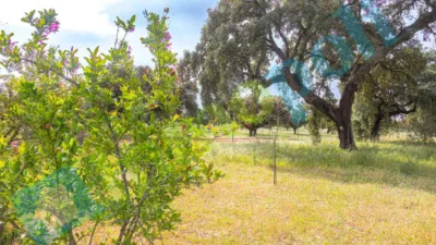 Chalet rústico en venta en Calle Diseminados El Corchito, Poblados Norte (Badajoz Capital) de 186.000 €