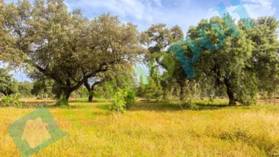 Chalet rústico en venta en Calle Diseminados El Corchito, Poblados Norte (Badajoz Capital) de 186.000 €