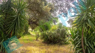 Chalet rústico en venta en Calle Diseminados El Corchito, Poblados Norte (Badajoz Capital) de 186.000 €