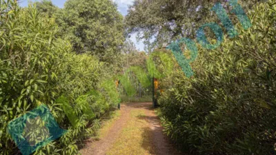 Chalet rústico en venta en Calle Diseminados El Corchito, Poblados Norte (Badajoz Capital) de 186.000 €