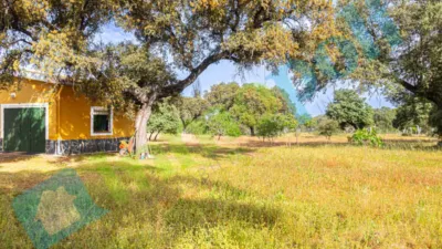 Chalet rústico en venta en Calle Diseminados El Corchito, Poblados Norte (Badajoz Capital) de 186.000 €