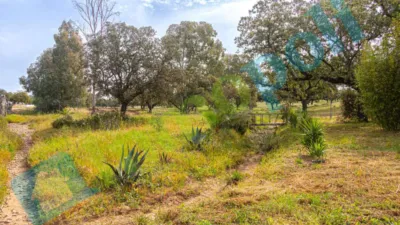 Chalet rústico en venta en Calle Diseminados El Corchito, Poblados Norte (Badajoz Capital) de 186.000 €