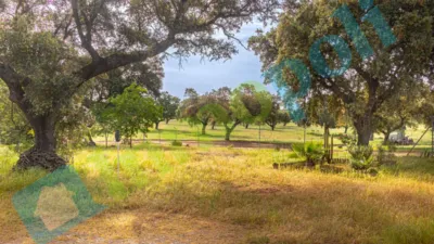Chalet rústico en venta en Calle Diseminados El Corchito, Poblados Norte (Badajoz Capital) de 186.000 €