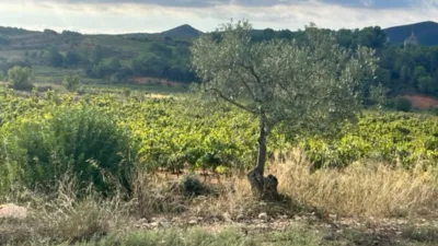 Rustic farm on Rodonya Street photo 16