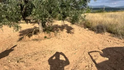 Rustic farm on Rodonya Street photo 67