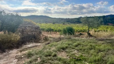 Rustic farm on Rodonya Street photo 13