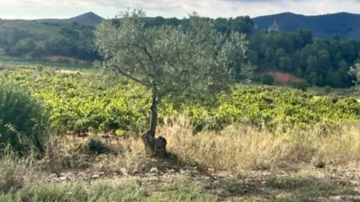 Rustic farm on Rodonya Street photo 17