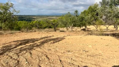 Rustic farm on Rodonya Street photo 68