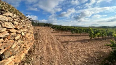 Rustic farm on Rodonya Street photo 56
