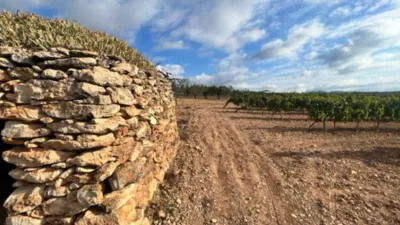 Rustic farm on Rodonya Street photo 55