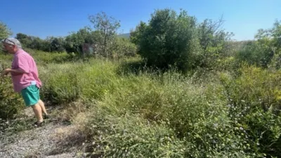 Rustic finca on Camino Barrio Palau de Reig photo 21