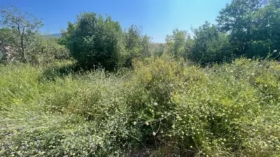Rustic finca on Camino Barrio Palau de Reig photo 45