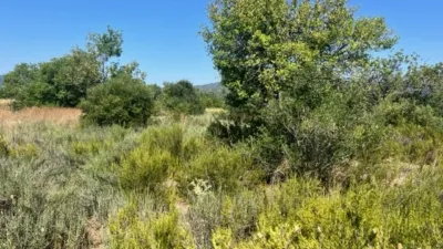 Rustic finca on Camino Barrio Palau de Reig photo 56