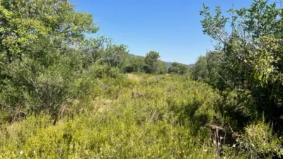Rustic finca on Camino Barrio Palau de Reig photo 57