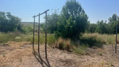 Rustic finca on Camino Barrio Palau de Reig photo 33