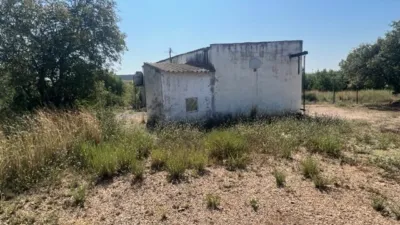 Rustic finca on Camino Barrio Palau de Reig photo 51