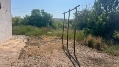 Rustic finca on Camino Barrio Palau de Reig photo 32