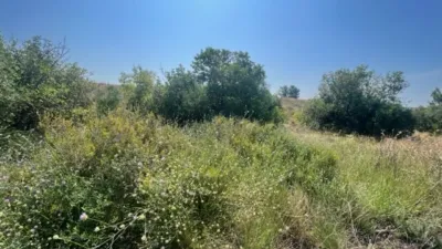 Rustic finca on Camino Barrio Palau de Reig photo 47