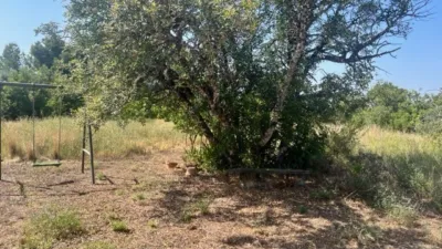 Rustic finca on Camino Barrio Palau de Reig photo 10
