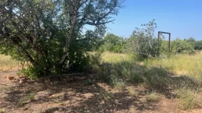 Rustic finca on Camino Barrio Palau de Reig photo 37