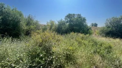Rustic finca on Camino Barrio Palau de Reig photo 46