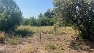 Rustic finca on Camino Barrio Palau de Reig photo 9