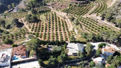 Chalet rústico en venta en Camino de los Forestales, 8, Garres y Lages (Distrito Pedanías Este. Murcia Capital) de 220.000 €
