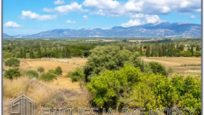 Rustic chalet at Carretera de Marjals, 1 photo 4